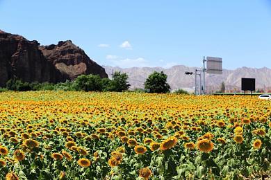 GSE确认参展Bilibili World 2025！首次亮相将带来7款游戏作品