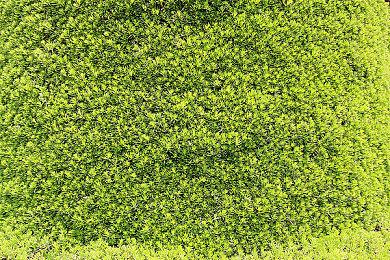 PlayStation中国：PS VR2国行版积极引进中